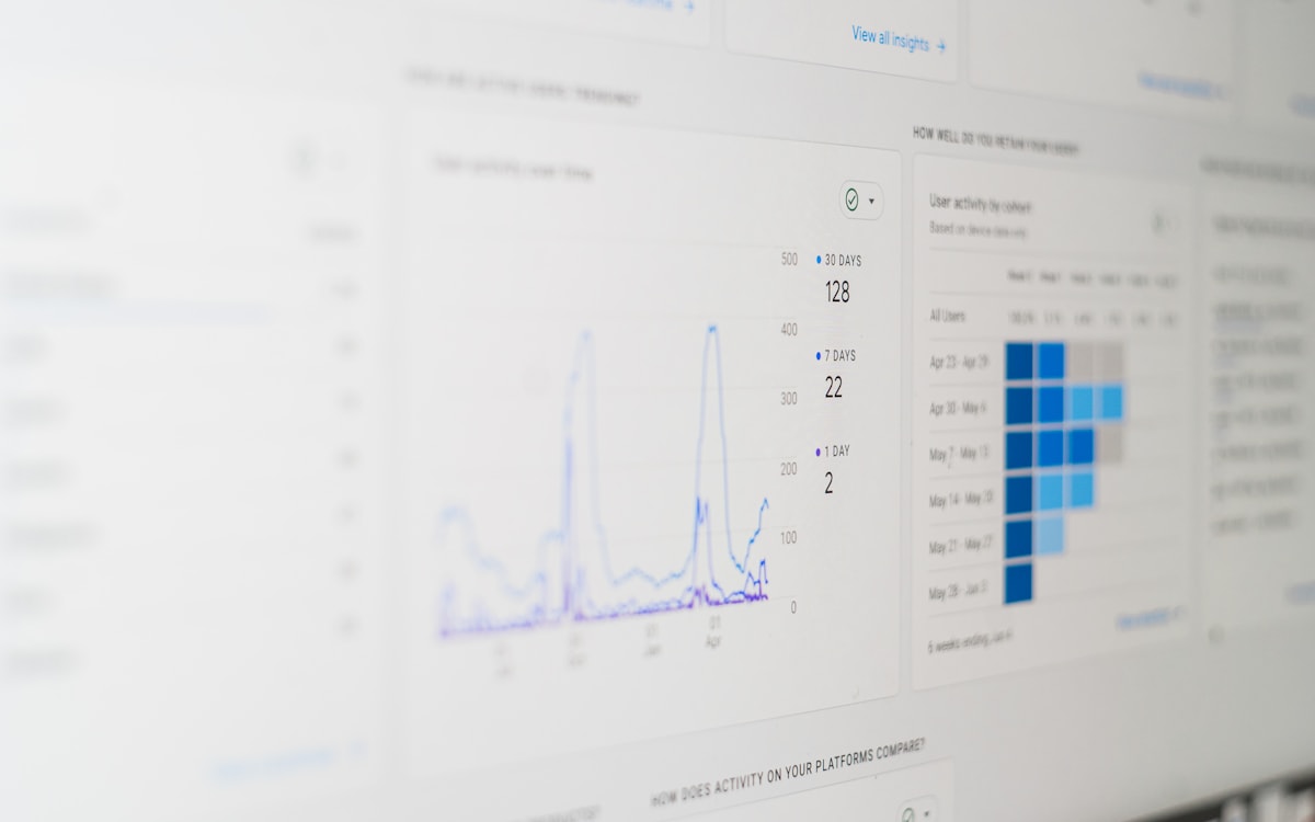 Google Ads Dashboard & ROAS